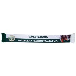   Fradi Zöld Sasok sál - Ferencváros sál (FTC szurkolói sál)