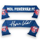 Hajrá Vidi sál - Fehérvár FC szurkolói sál