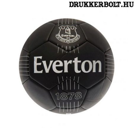 Everton labda - normál méretű (5-ös) Everton focilabda